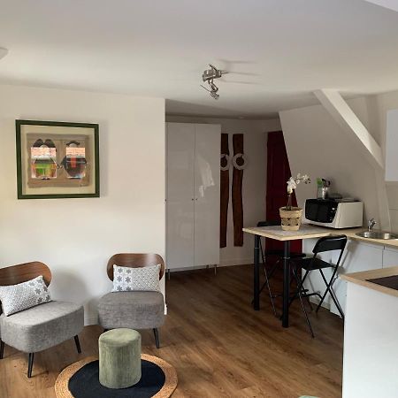 Coquet Studio Colmar Centre Apartment Luaran gambar