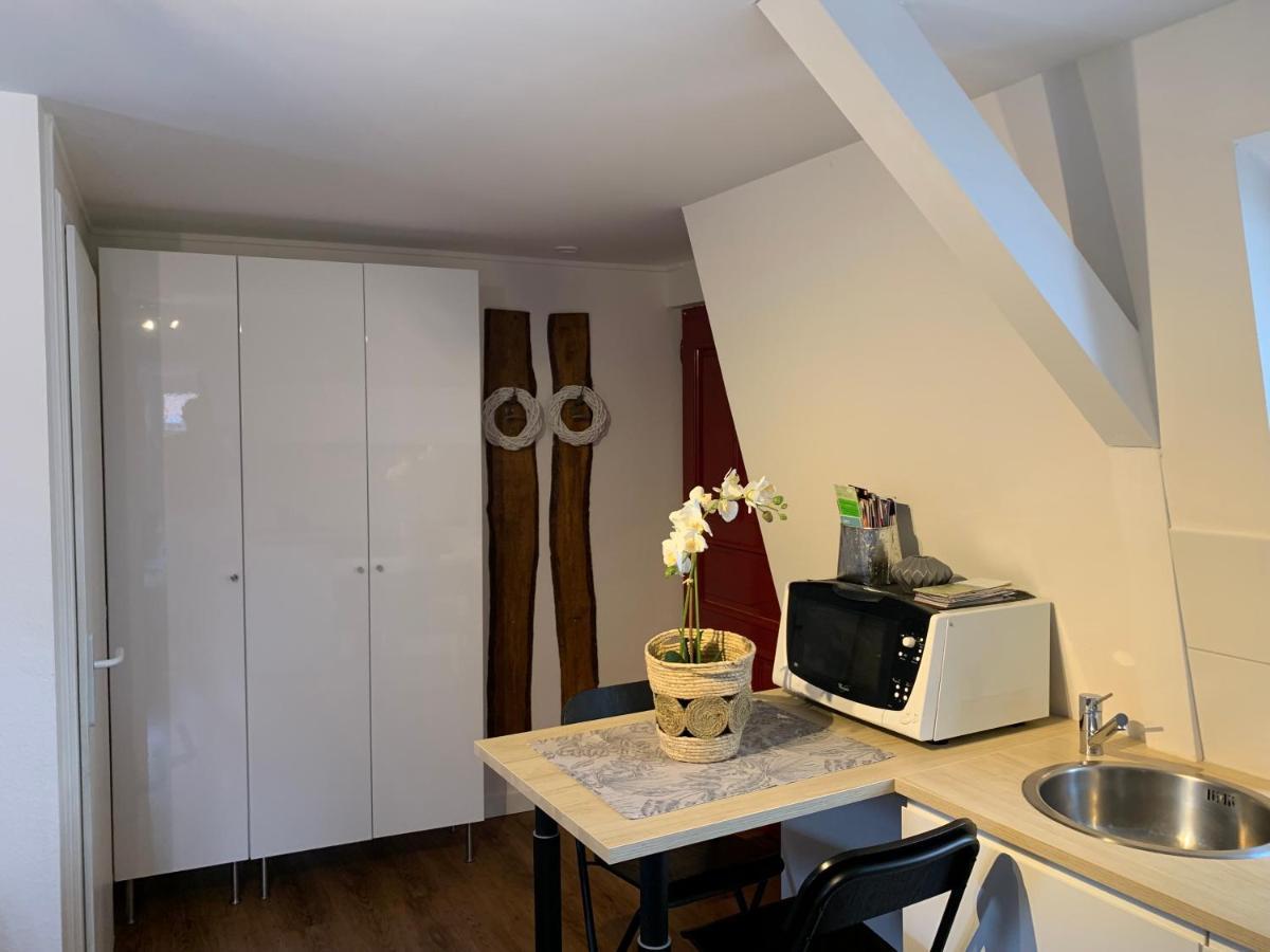 Coquet Studio Colmar Centre Apartment Luaran gambar